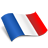Button linking to French homepage